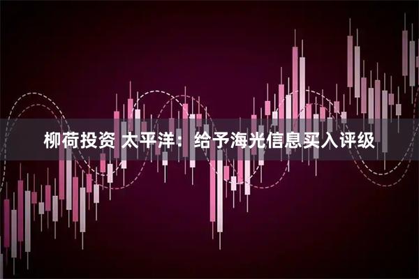 柳荷投资 太平洋：给予海光信息买入评级