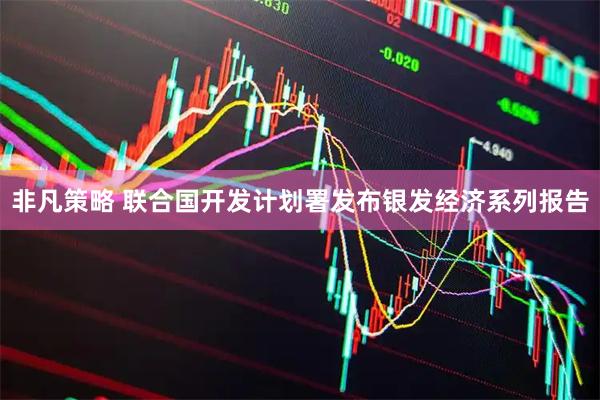 非凡策略 联合国开发计划署发布银发经济系列报告